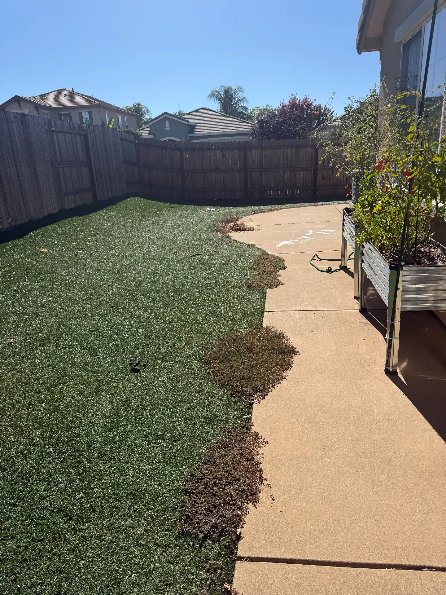 Backyard with existing turf beside a concrete patio